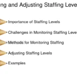 The Efficiency Equation: Optimizing Staffing Levels via Traffic Patterns